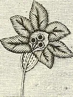 An illustration from The dictionary of needlework : an encyclopaedia of artistic, plain, and fancy needlework. Dealing fully with the details of all the stitches employed, the method of working, the materials used, the meaning of technical terms, and, where necessary, tracing the origin and history of the various works described. Illustrated with upwards of 800 wood engravings, and coloured plates. Plain sewing, textiles, dressmaking, appliances, and terms (1885)
