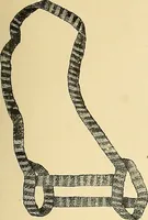 An illustration from The dictionary of needlework : an encyclopaedia of artistic, plain, and fancy needlework. Dealing fully with the details of all the stitches employed, the method of working, the materials used, the meaning of technical terms, and, where necessary, tracing the origin and history of the various works described. Illustrated with upwards of 800 wood engravings, and coloured plates. Plain sewing, textiles, dressmaking, appliances, and terms (1885)