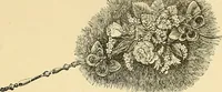 An illustration from The dictionary of needlework : an encyclopaedia of artistic, plain, and fancy needlework. Dealing fully with the details of all the stitches employed, the method of working, the materials used, the meaning of technical terms, and, where necessary, tracing the origin and history of the various works described. Illustrated with upwards of 800 wood engravings, and coloured plates. Plain sewing, textiles, dressmaking, appliances, and terms (1885)