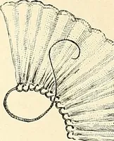 An illustration from The dictionary of needlework : an encyclopaedia of artistic, plain, and fancy needlework. Dealing fully with the details of all the stitches employed, the method of working, the materials used, the meaning of technical terms, and, where necessary, tracing the origin and history of the various works described. Illustrated with upwards of 800 wood engravings, and coloured plates. Plain sewing, textiles, dressmaking, appliances, and terms (1885)