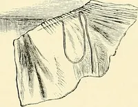 An illustration from The dictionary of needlework : an encyclopaedia of artistic, plain, and fancy needlework. Dealing fully with the details of all the stitches employed, the method of working, the materials used, the meaning of technical terms, and, where necessary, tracing the origin and history of the various works described. Illustrated with upwards of 800 wood engravings, and coloured plates. Plain sewing, textiles, dressmaking, appliances, and terms (1885)
