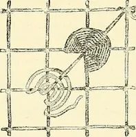 An illustration from The dictionary of needlework : an encyclopaedia of artistic, plain, and fancy needlework. Dealing fully with the details of all the stitches employed, the method of working, the materials used, the meaning of technical terms, and, where necessary, tracing the origin and history of the various works described. Illustrated with upwards of 800 wood engravings, and coloured plates. Plain sewing, textiles, dressmaking, appliances, and terms (1885)