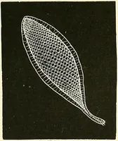 An illustration from The dictionary of needlework : an encyclopaedia of artistic, plain, and fancy needlework. Dealing fully with the details of all the stitches employed, the method of working, the materials used, the meaning of technical terms, and, where necessary, tracing the origin and history of the various works described. Illustrated with upwards of 800 wood engravings, and coloured plates. Plain sewing, textiles, dressmaking, appliances, and terms (1885)