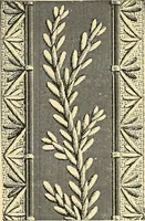 An illustration from The dictionary of needlework : an encyclopaedia of artistic, plain, and fancy needlework. Dealing fully with the details of all the stitches employed, the method of working, the materials used, the meaning of technical terms, and, where necessary, tracing the origin and history of the various works described. Illustrated with upwards of 800 wood engravings, and coloured plates. Plain sewing, textiles, dressmaking, appliances, and terms (1885)