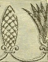 An illustration from The dictionary of needlework : an encyclopaedia of artistic, plain, and fancy needlework. Dealing fully with the details of all the stitches employed, the method of working, the materials used, the meaning of technical terms, and, where necessary, tracing the origin and history of the various works described. Illustrated with upwards of 800 wood engravings, and coloured plates. Plain sewing, textiles, dressmaking, appliances, and terms (1885)