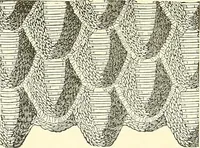 An illustration from The dictionary of needlework : an encyclopaedia of artistic, plain, and fancy needlework. Dealing fully with the details of all the stitches employed, the method of working, the materials used, the meaning of technical terms, and, where necessary, tracing the origin and history of the various works described. Illustrated with upwards of 800 wood engravings, and coloured plates. Plain sewing, textiles, dressmaking, appliances, and terms (1885)