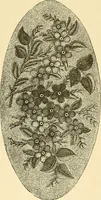 An illustration from The dictionary of needlework : an encyclopaedia of artistic, plain, and fancy needlework. Dealing fully with the details of all the stitches employed, the method of working, the materials used, the meaning of technical terms, and, where necessary, tracing the origin and history of the various works described. Illustrated with upwards of 800 wood engravings, and coloured plates. Plain sewing, textiles, dressmaking, appliances, and terms (1885)