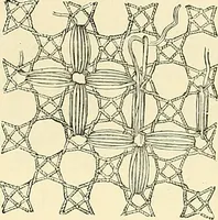 An illustration from The dictionary of needlework : an encyclopaedia of artistic, plain, and fancy needlework. Dealing fully with the details of all the stitches employed, the method of working, the materials used, the meaning of technical terms, and, where necessary, tracing the origin and history of the various works described. Illustrated with upwards of 800 wood engravings, and coloured plates. Plain sewing, textiles, dressmaking, appliances, and terms (1885)