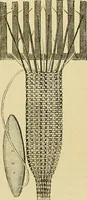 An illustration from The dictionary of needlework : an encyclopaedia of artistic, plain, and fancy needlework. Dealing fully with the details of all the stitches employed, the method of working, the materials used, the meaning of technical terms, and, where necessary, tracing the origin and history of the various works described. Illustrated with upwards of 800 wood engravings, and coloured plates. Plain sewing, textiles, dressmaking, appliances, and terms (1885)