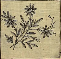 An illustration from The dictionary of needlework : an encyclopaedia of artistic, plain, and fancy needlework. Dealing fully with the details of all the stitches employed, the method of working, the materials used, the meaning of technical terms, and, where necessary, tracing the origin and history of the various works described. Illustrated with upwards of 800 wood engravings, and coloured plates. Plain sewing, textiles, dressmaking, appliances, and terms (1885)