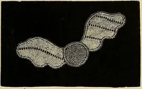An illustration from The dictionary of needlework : an encyclopaedia of artistic, plain, and fancy needlework. Dealing fully with the details of all the stitches employed, the method of working, the materials used, the meaning of technical terms, and, where necessary, tracing the origin and history of the various works described. Illustrated with upwards of 800 wood engravings, and coloured plates. Plain sewing, textiles, dressmaking, appliances, and terms (1885)