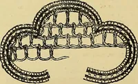 An illustration from The dictionary of needlework : an encyclopaedia of artistic, plain, and fancy needlework. Dealing fully with the details of all the stitches employed, the method of working, the materials used, the meaning of technical terms, and, where necessary, tracing the origin and history of the various works described. Illustrated with upwards of 800 wood engravings, and coloured plates. Plain sewing, textiles, dressmaking, appliances, and terms (1885)