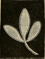 An illustration from The dictionary of needlework : an encyclopaedia of artistic, plain, and fancy needlework. Dealing fully with the details of all the stitches employed, the method of working, the materials used, the meaning of technical terms, and, where necessary, tracing the origin and history of the various works described. Illustrated with upwards of 800 wood engravings, and coloured plates. Plain sewing, textiles, dressmaking, appliances, and terms (1885)