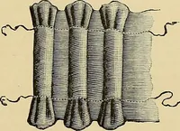 An illustration from The dictionary of needlework : an encyclopaedia of artistic, plain, and fancy needlework. Dealing fully with the details of all the stitches employed, the method of working, the materials used, the meaning of technical terms, and, where necessary, tracing the origin and history of the various works described. Illustrated with upwards of 800 wood engravings, and coloured plates. Plain sewing, textiles, dressmaking, appliances, and terms (1885)