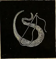 An illustration from The dictionary of needlework : an encyclopaedia of artistic, plain, and fancy needlework. Dealing fully with the details of all the stitches employed, the method of working, the materials used, the meaning of technical terms, and, where necessary, tracing the origin and history of the various works described. Illustrated with upwards of 800 wood engravings, and coloured plates. Plain sewing, textiles, dressmaking, appliances, and terms (1885)