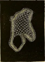 An illustration from The dictionary of needlework : an encyclopaedia of artistic, plain, and fancy needlework. Dealing fully with the details of all the stitches employed, the method of working, the materials used, the meaning of technical terms, and, where necessary, tracing the origin and history of the various works described. Illustrated with upwards of 800 wood engravings, and coloured plates. Plain sewing, textiles, dressmaking, appliances, and terms (1885)