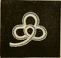 An illustration from The dictionary of needlework : an encyclopaedia of artistic, plain, and fancy needlework. Dealing fully with the details of all the stitches employed, the method of working, the materials used, the meaning of technical terms, and, where necessary, tracing the origin and history of the various works described. Illustrated with upwards of 800 wood engravings, and coloured plates. Plain sewing, textiles, dressmaking, appliances, and terms (1885)
