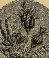 An illustration from The dictionary of needlework : an encyclopaedia of artistic, plain, and fancy needlework. Dealing fully with the details of all the stitches employed, the method of working, the materials used, the meaning of technical terms, and, where necessary, tracing the origin and history of the various works described. Illustrated with upwards of 800 wood engravings, and coloured plates. Plain sewing, textiles, dressmaking, appliances, and terms (1885)