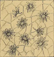 An illustration from The dictionary of needlework : an encyclopaedia of artistic, plain, and fancy needlework. Dealing fully with the details of all the stitches employed, the method of working, the materials used, the meaning of technical terms, and, where necessary, tracing the origin and history of the various works described. Illustrated with upwards of 800 wood engravings, and coloured plates. Plain sewing, textiles, dressmaking, appliances, and terms (1885)
