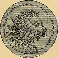 An illustration from The dictionary of needlework : an encyclopaedia of artistic, plain, and fancy needlework. Dealing fully with the details of all the stitches employed, the method of working, the materials used, the meaning of technical terms, and, where necessary, tracing the origin and history of the various works described. Illustrated with upwards of 800 wood engravings, and coloured plates. Plain sewing, textiles, dressmaking, appliances, and terms (1885)