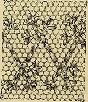 An illustration from The dictionary of needlework : an encyclopaedia of artistic, plain, and fancy needlework. Dealing fully with the details of all the stitches employed, the method of working, the materials used, the meaning of technical terms, and, where necessary, tracing the origin and history of the various works described. Illustrated with upwards of 800 wood engravings, and coloured plates. Plain sewing, textiles, dressmaking, appliances, and terms (1885)
