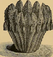 An illustration from The dictionary of needlework : an encyclopaedia of artistic, plain, and fancy needlework. Dealing fully with the details of all the stitches employed, the method of working, the materials used, the meaning of technical terms, and, where necessary, tracing the origin and history of the various works described. Illustrated with upwards of 800 wood engravings, and coloured plates. Plain sewing, textiles, dressmaking, appliances, and terms (1885)
