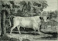 An illustration from Dictionary of painters and engravers (1903)