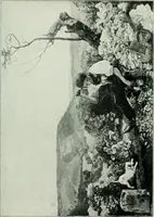 An illustration from Dictionary of painters and engravers (1903)