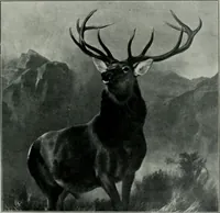 An illustration from Dictionary of painters and engravers (1903)