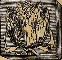 Picture 12 of 526 from Dictionnaire des arts décoratifs à l'usage des artisans, des artistes, des amateurs et des écoles (1880), leaf 27