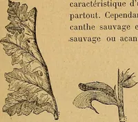 Picture 17 of 526 from Dictionnaire des arts décoratifs à l'usage des artisans, des artistes, des amateurs et des écoles (1880), leaf 32