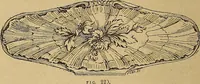 Picture 213 of 526 from Dictionnaire des arts décoratifs à l'usage des artisans, des artistes, des amateurs et des écoles (1880), leaf 389