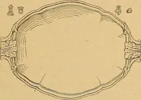 An illustration from Dictionnaire des arts décoratifs à l'usage des artisans, des artistes, des amateurs et des écoles (1880)