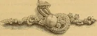 An illustration from Dictionnaire des arts décoratifs à l'usage des artisans, des artistes, des amateurs et des écoles (1880)