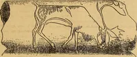 An illustration from Dictionnaire des arts décoratifs à l'usage des artisans, des artistes, des amateurs et des écoles (1880)