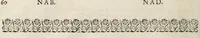 Picture 17 of 34 from Dictionnaire françois.. (1680), leaf 561