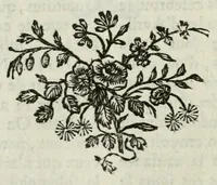 An illustration from Dictionnaire portatif de mythologie : pour l'intelligence des poëtes, de l histoire fabuleuse, des monumens historiques, des bas-reliefs, des tableaux, &c (1765)