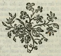 An illustration from Dictionnaire portatif de mythologie : pour l'intelligence des poëtes, de l histoire fabuleuse, des monumens historiques, des bas-reliefs, des tableaux, &c (1765)