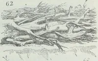Picture 317 of 400 from Dictionnaire raisonné de l'architecture française du XIe au XVIe siècle (1858), leaf 448