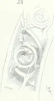 An illustration from Dictionnaire raisonné de l'architecture française du XIe au XVIe siècle (1858)