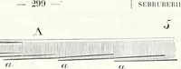 Picture 135 of 230 from Dictionnaire raisonné de l'architecture française du XIe au XVIe siècle (1858), leaf 306