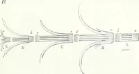 Picture 142 of 230 from Dictionnaire raisonné de l'architecture française du XIe au XVIe siècle (1858), leaf 316