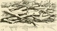 Picture 350 of 437 from Dictionnaire raisonné de l'architecture française du XIe au XVIe siècle (1858), leaf 448
