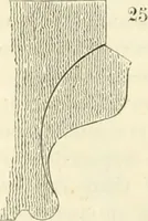 An illustration from Dictionnaire raisonné de l'architecture française du XIe au XVIe siècle (1858)