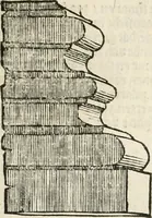 An illustration from Die alder vermaertste antique edificien : vã temple, theatre, amphitheatre, paleisen, therme, obeliske, brugge, archetriuphal, etc. vescreueeñ gefigureert met haren grondede eñ mate oock de plaetsen daerse staen, eñ wiese dede make (1546)