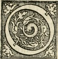 An illustration from Die alder vermaertste antique edificien : vã temple, theatre, amphitheatre, paleisen, therme, obeliske, brugge, archetriuphal, etc. vescreueeñ gefigureert met haren grondede eñ mate oock de plaetsen daerse staen, eñ wiese dede make (1546)