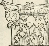 An illustration from Die alder vermaertste antique edificien : vã temple, theatre, amphitheatre, paleisen, therme, obeliske, brugge, archetriuphal, etc. vescreueeñ gefigureert met haren grondede eñ mate oock de plaetsen daerse staen, eñ wiese dede make (1546)