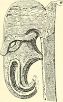 Picture 102 of 105 from Die Altdeutsche Buchillustration (1912), leaf 156