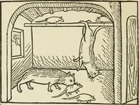 Picture 105 of 105 from Die Altdeutsche Buchillustration (1912), leaf 159