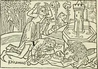 Picture 11 of 105 from Die Altdeutsche Buchillustration (1912), leaf 45